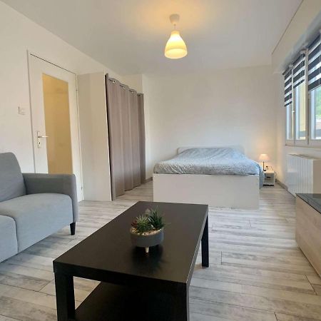 Charmant Studio Centre Ville De Mutzig Eksteriør bilde